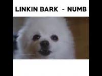 Linkin Park - Numb (Animals REMIX)