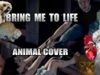 Evanescence - Bring Me To Life (Animal Cover)