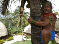 Jak wspiąć się na drzewo kokosowe