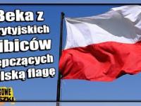 Analogowe Heheszki 460 - Beka z Brytyjskich kibiców depczących Polską flagę - Dowcip z morałem.