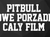 Pitbull Nowe porzadki 2016 PL LINK W OPISIE FULL HD