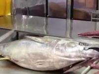 Filetowanie tuńczyka, poziom: Azjata