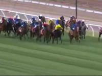 Almandin wins 2016, Melbourne Cup ofter thrilling 