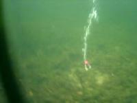 Firecracker underwater