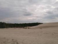 MyLife 15 (lunch, forest, dunes, beat, maschine)