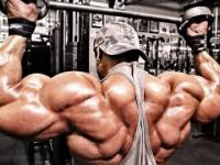 Roelly Winklaar - Trains Back and Biceps (Bodybuilding Motivation 2016)