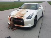 Top of Nissan GT-R CRASH and FAIL Epic Sounds