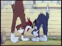 Tom & Jerry w teledysku zespołu System of a Down