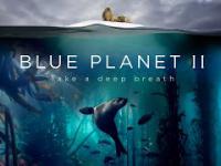 Blue Planet II : The Prequel