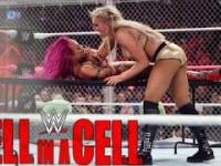 WWE: Przypomnienie walki Sasha Banks vs Charlotte - hell in a cell 2016