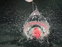 Pękający balonik z wodą w 960fps