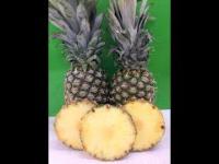 Kokosy z ananasa