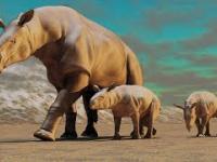 Paraceraterium - największy ssak lądowy jaki żył na Ziemi