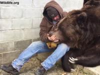 Kiedy twój niedźwiedź miał ciężki dzień i potrzebował dodatkowej miłości ... 