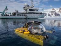 Antarktyka 1000m pod powierzchnią wody tętni życiem