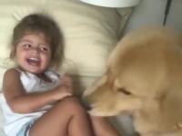 Silna scena psiego ataku i śmiech dziecka