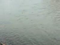 Samolot wpada do rzeki w Chakasji 