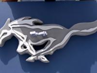 Camaro składa życzenia Mustangowi, trochę złośliwie...