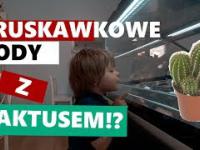Truskawkowe Lody Z Kaktusem ?! Short Cinema Story. Chełm/Polska.
