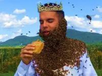 Jak zachowują się pszczoły