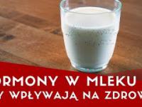 Mleko i krowie hormony - wpływ na zdrowie