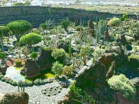 Ogród Kaktusów na Lanzarote - Najbardziej przykuwająca atrakcja na wyspie!