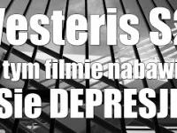 Vesteris S2 2 - Po tym filmie nabawisz się depresji * Oglądasz na własna odpowiedzialność *