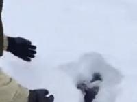 Pierwsza beztroska zabawa w śniegu z tatusiem