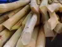 Healthy Street Drinks Sugarcane Juice @ TK 10 Glass Sugarcane Juice Extractor Sugarcane Juice Vendor