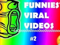 [Cool&Funny] Best Viral Videos 2019 Compilation 2