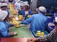 Praca marzeń w chińskiej fabryce
