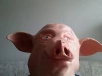 Człowiek Świnia - Modelki z Instagrama