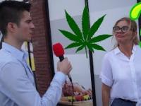 Czy Polacy popierają legalizację marihuany? SONDA ULICZNA