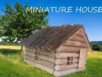 Miniature wooden house.