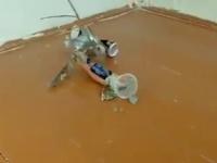 Czelabińsk Dynamics testuje prototyp robota