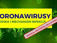Koronawirusy - budowa i molekularny mechanizm infekcji
