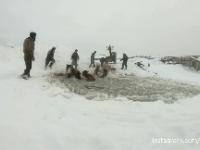 Ratowanie koni od którymi zarwał się lód