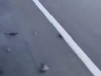 Ptak „wpadł” do samochodzie na autostradzie przy prędkości 120km/h