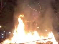 Demonstranci BLM w Portland spalili pomnik jelenia w ramach walki z... rasizmem