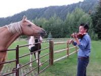 Ten Koń uwielbia, jak mu się gra na skrzypcach