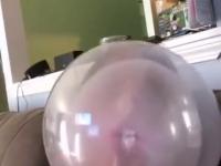 Potrafi robić w tego balona