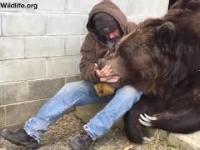 Kiedy twój niedźwiedź miał okropny dzień i potrzebuje dodatkowej miłości