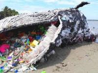 Niefortunne rzeczy spowodowane plastikiem w oceanie