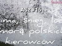 ASz 15 Zima, śnieg, lód zmorą polskich kierowców
