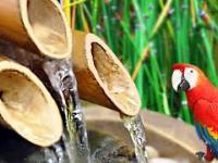 Children & adults fall asleep in 3 minutes to the sound of water flowing from bamboo! Check it out!