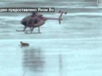 helikopter „wypędził” jelenia z jeziora