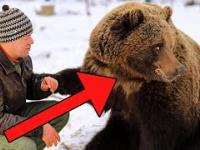 Mężczyzna zaopiekował się dzikim niedźwiedziem. Historia wspaniałej przyjaźni
