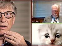 Koci prawnik podbija internet, a Bill Gates oszalał
