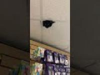 Nowoczesna kamera monitorująca w sklepie