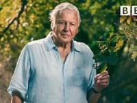 95 lat w 95 sekund Davida Attenborough